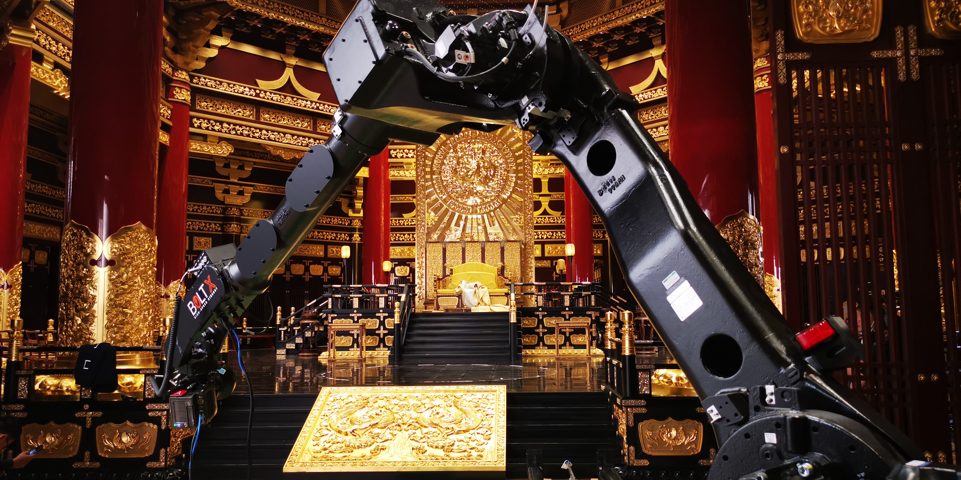 Motion control rig