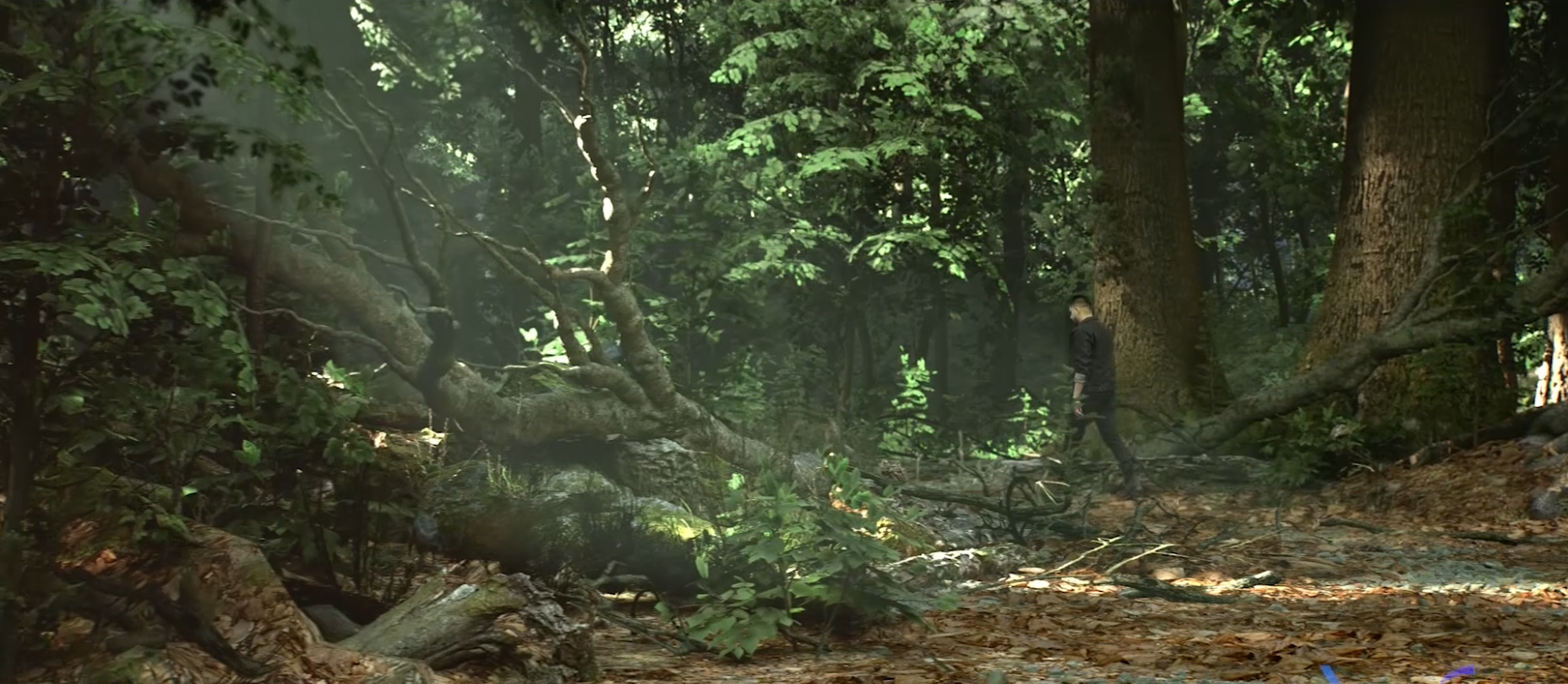 Forest Previs